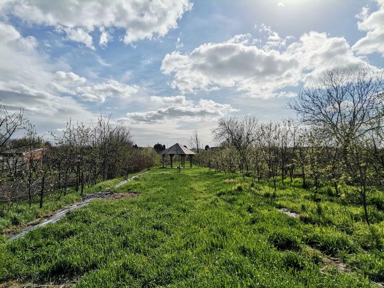 Teren utilitati ArNou 40/mp proprietar - 2