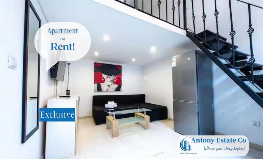Apartament de inchiriat, 1 camera, Ultra-Central, Oradea Apartament de inchiriat, 1 camera, Ultra-Central, Oradea
