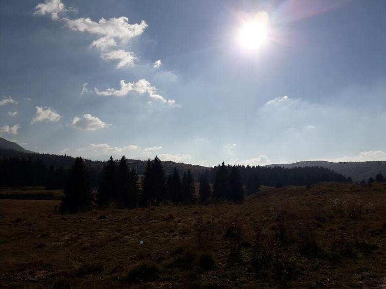 Teren cu Potential Turistic Major in Poiana Brasov - 4