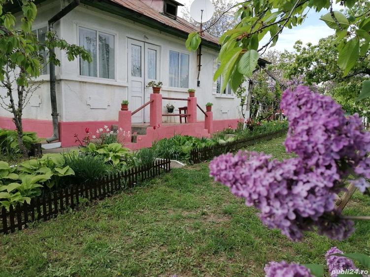 Casa cu teren, ultracentral , Cotnari, Ia?i - 8