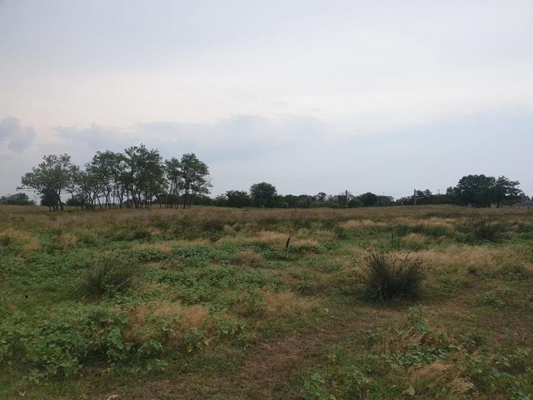 Teren intravilan in Delta Dunarii, C.A. Rosetti - Cardon - 9