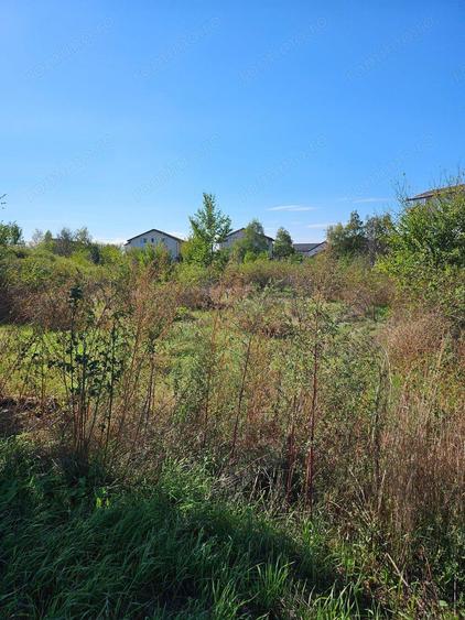 Comuna 1 Decembrie, Jud. Ilfov, teren strada Sperantei - 2