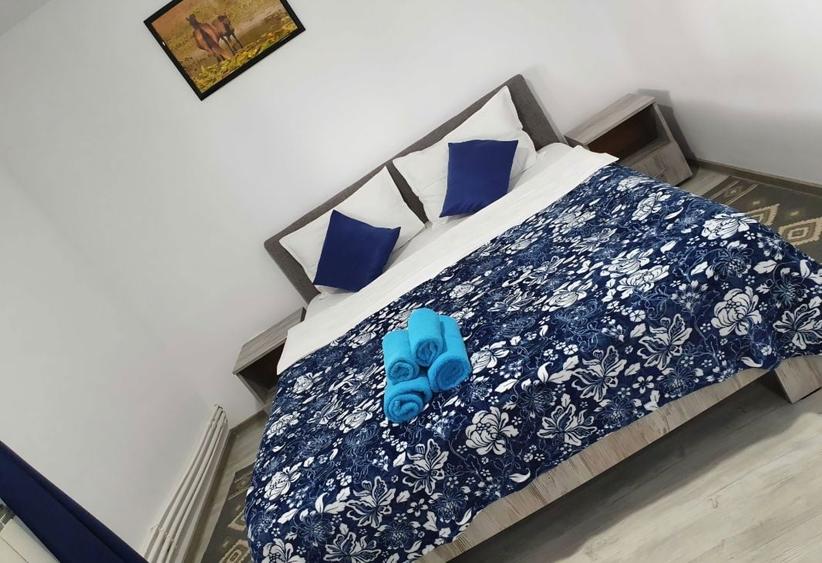 Pensiune de vanzare in Delta Dunarii, Crisan - 2