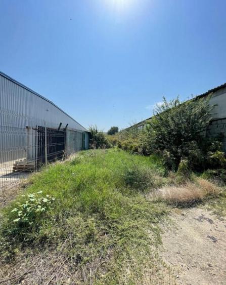 Hala situata in Ovidiu - 1