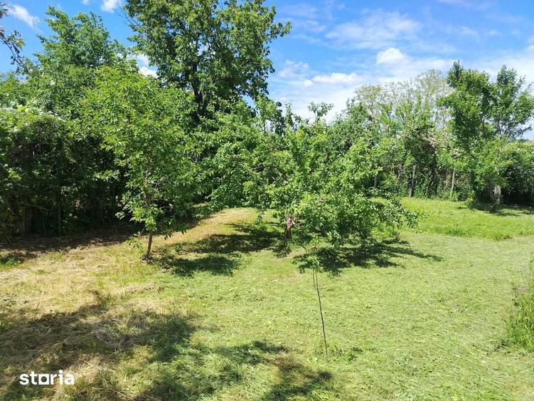 Casă cu 3 camere cu Teren 1000 Mp în Central