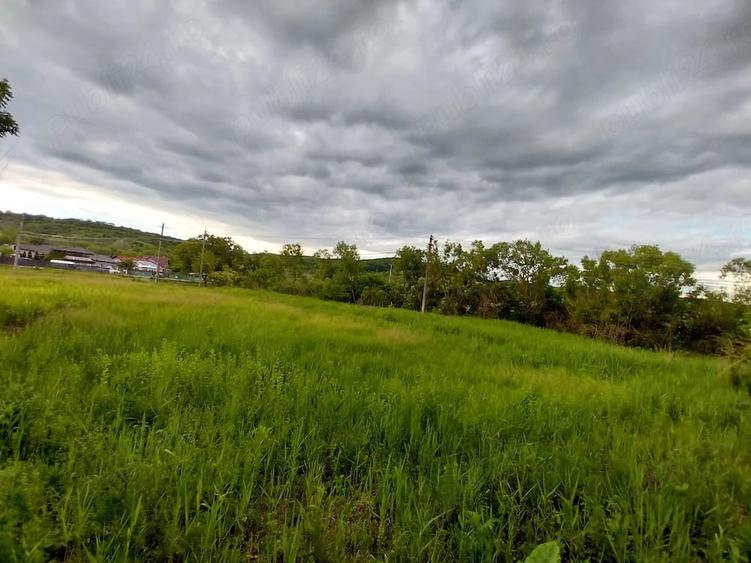 Teren de 2500 mp, în Bălțești