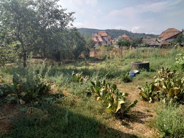 Casă cu 3 camere în Exterior Vest