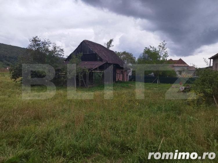 Casa pitoreasca in Viile Tecii cu o gradina de 26 de arii - 1