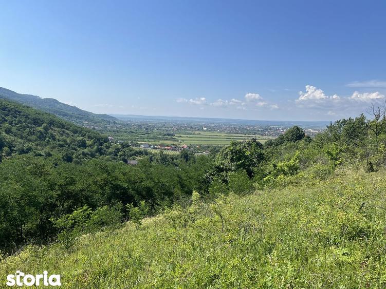 Casa, teren ?i casu?a mobila de vanzare, cu panorama deosebita - 7