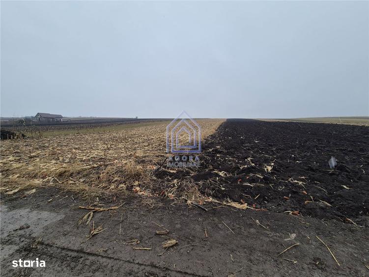 Teren intravilan Moara Carp - zona Ponoare - 2