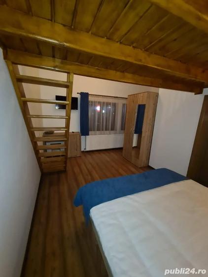 Spatiu comercial direct la Partia Kalinderu Busteni - 3