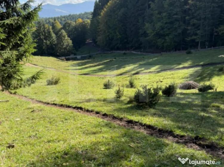 Teren intravilan 28 Ari zona Colibita - 6