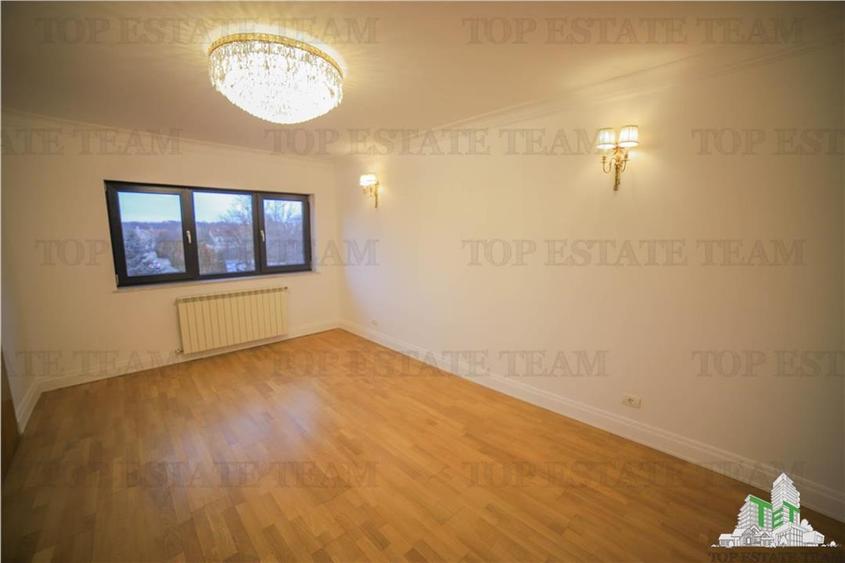 Vila pretabila rezidenta/office Iancu Nicolae - 14