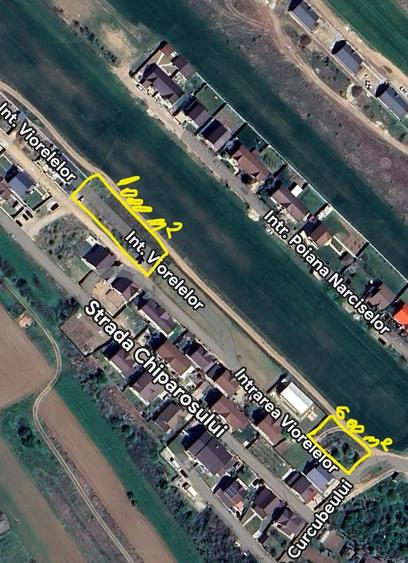 Domnesti  Viorellelor - 2