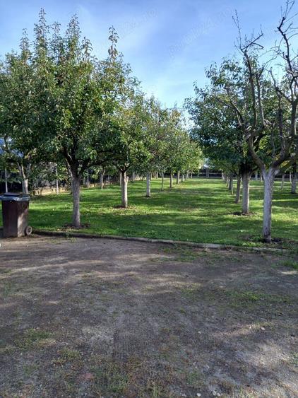 Vanzare casa + anexa + curte foarte spa?ioasa (2550 mp) - 1