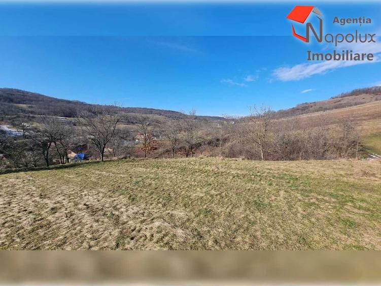 Teren de exceptie 3,1 ha intravilan | Panorama, utilitati, acces dublu | Sardu - 7