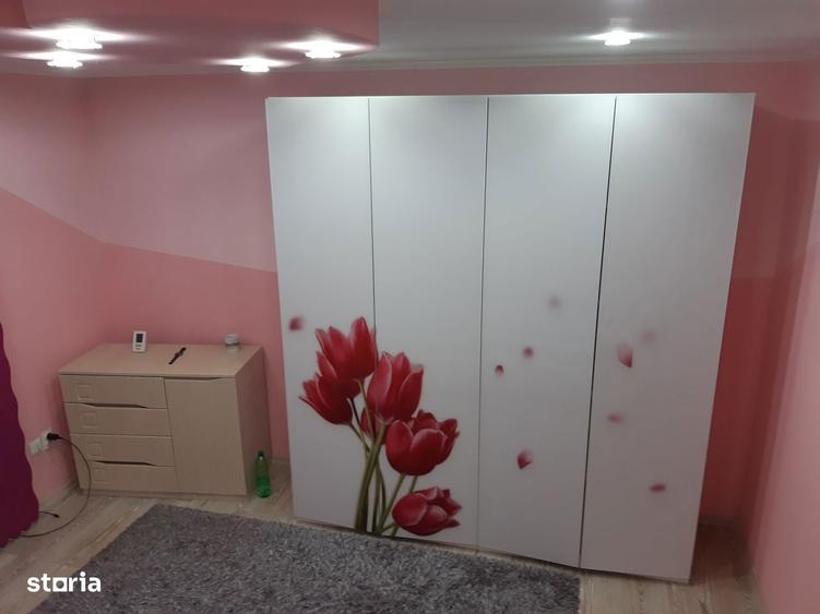 Casa 250 mp , P+M , 17 ari, Satu Nou de Jos , - 1