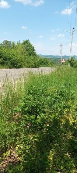 Teren intravilan Targu Neamt- str. baile Oglinzi - 2