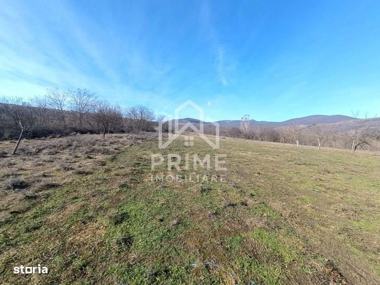 Teren Generos in Paclisa Intimitate si Natura la un pas de oras - 3