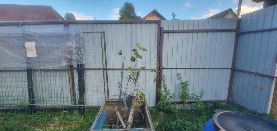 Casa de vanzare la ?ara - 7