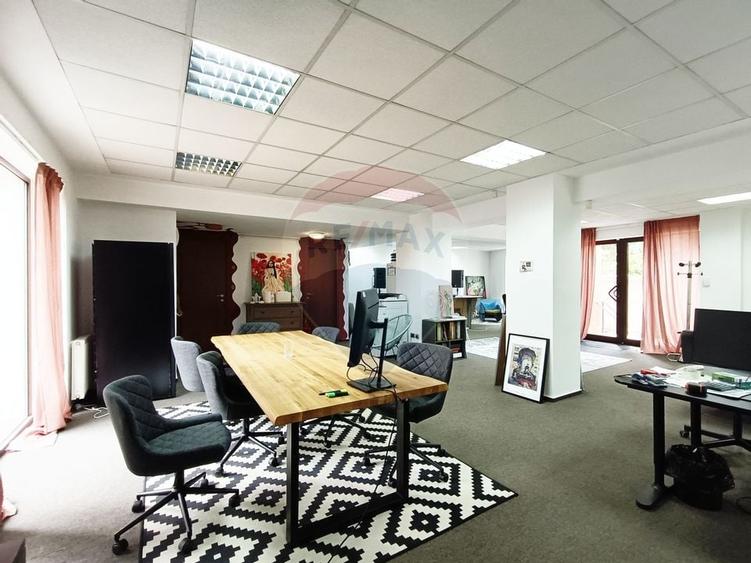 Vanzare Spatiu Comercial / Birou, Str. Popa Tatu -Cismigiu, Investitie - 5