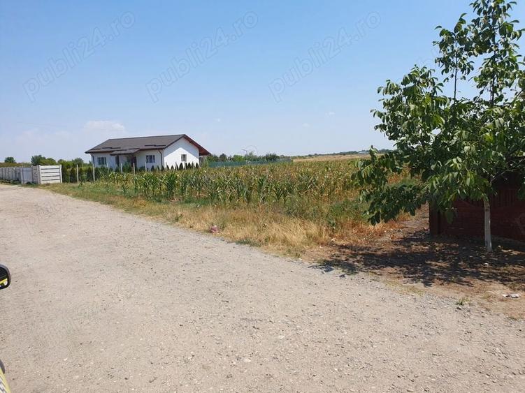 Teren Cosoveni Intravilan 1362mp 25 Euro mp - 2