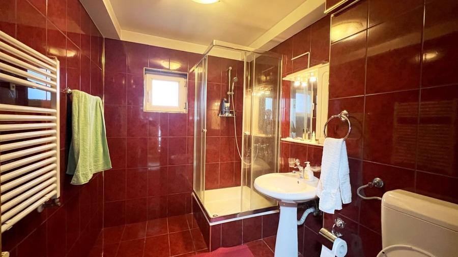 Casa individuala 5 camere I Posibil spatiu comercial I 300 mp I Parcul Lacul Tei - 20