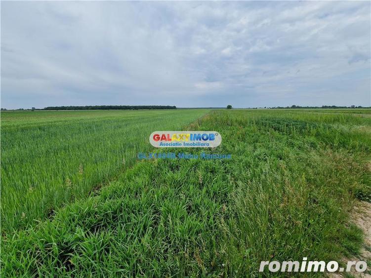 Teren agricol extravilan Uliesti, sat Ragu, apropiere Autostrada A1 - 1