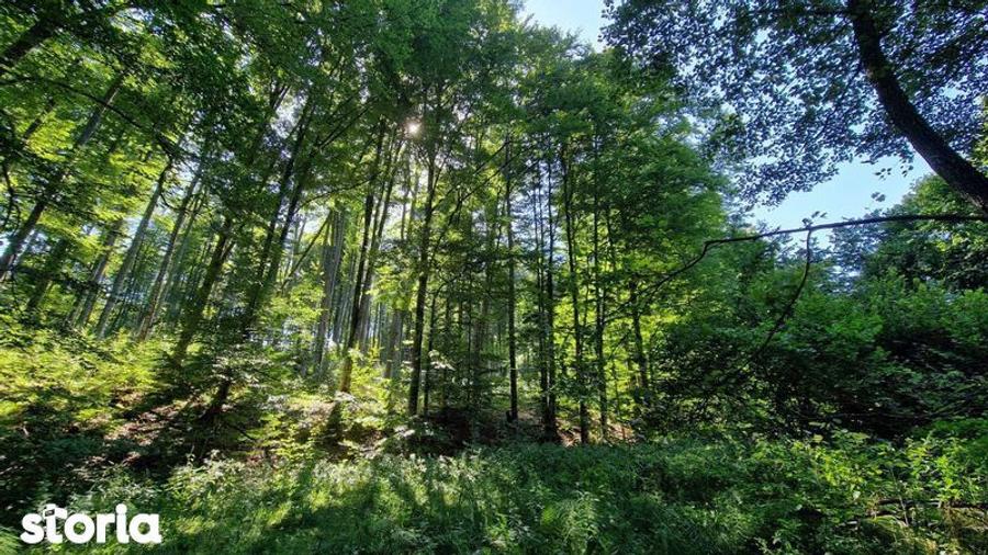 Teren langa Brasov - 4