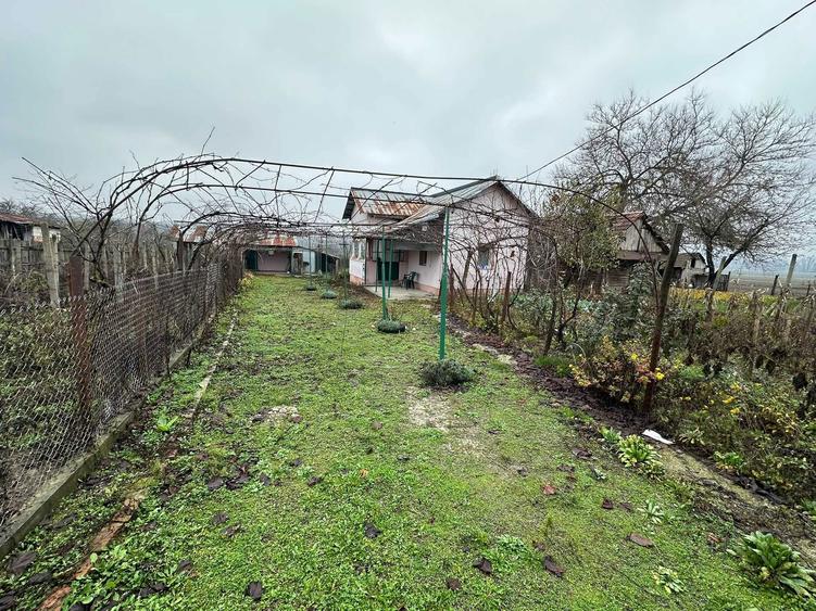 Casa de vanzare comuna maciuca - 6