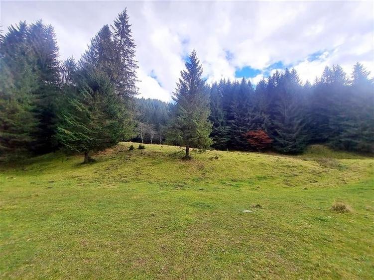 Teren intravilan panoramic 4.600mp,view iconic Piatra Craiului,oportunitate prem - 19