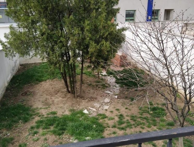 Vila premium D+P+2, 380 mp, ideala pentru birouri sau clinica – zona Parcul Circ - 4