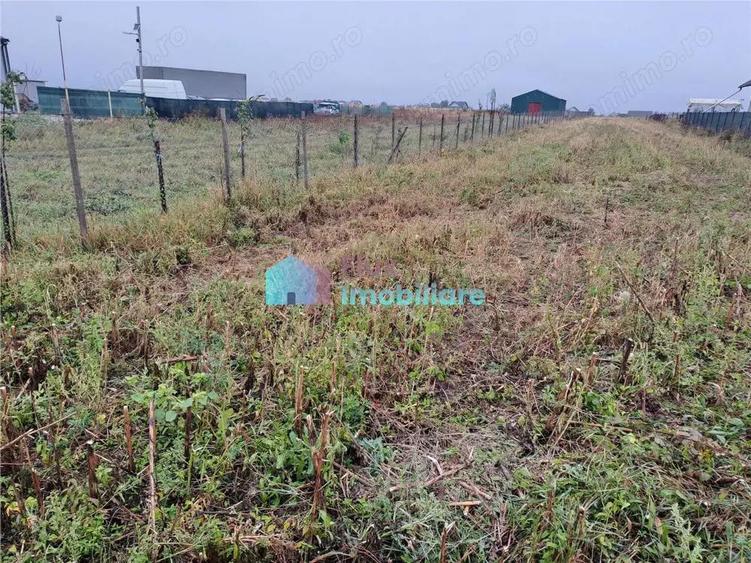 Teren intravilan 2700 mp Dumbraveni - 1