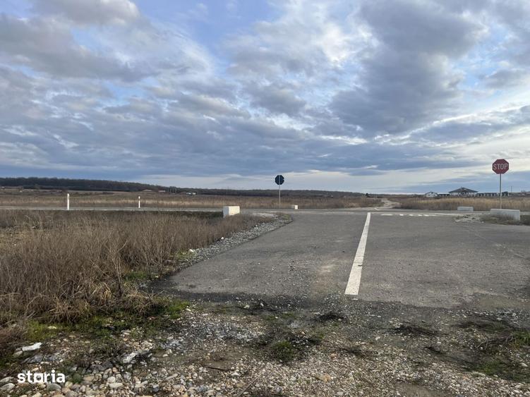 Teren 7481 mp, cu acces facil la Inelul Metropolitan - 4