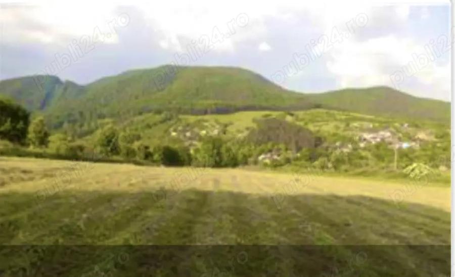 Teren de 1500 mp, în Bistrița