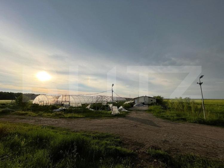 Teren partial intravilan 23.500 mp, apa, curent si supraveghere video, Bucovat - 1