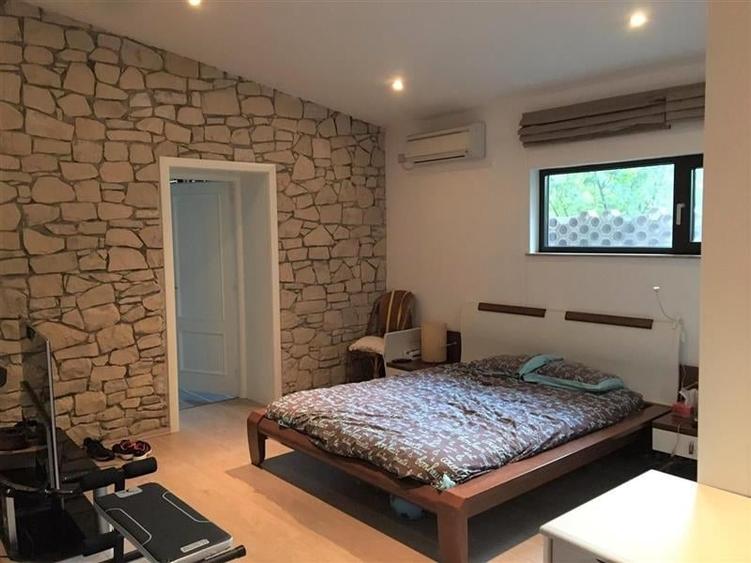 Vila cu piscina in zona  - Iancu Nicolae - Lidl ( teren 1500 Mp) - 8