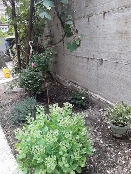 De vanzare apartament cu o camera la casa, curte proprie, Dej, zona centrala - 1