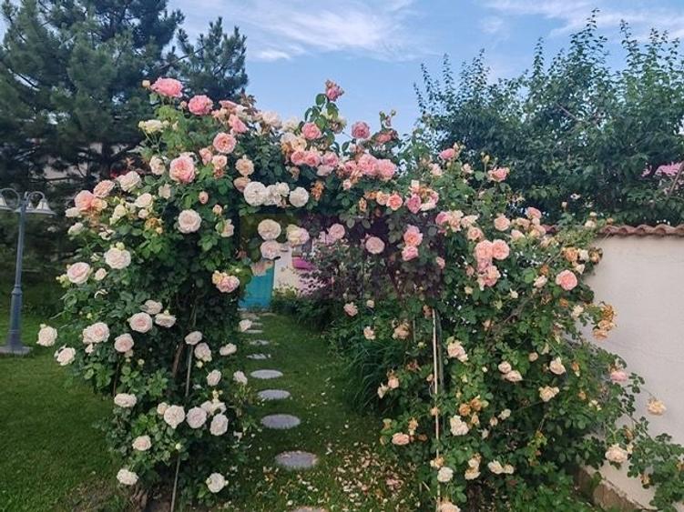 Vila superba in stil mediteranean Saftica- Corbeanca- COMISION 0 - 3