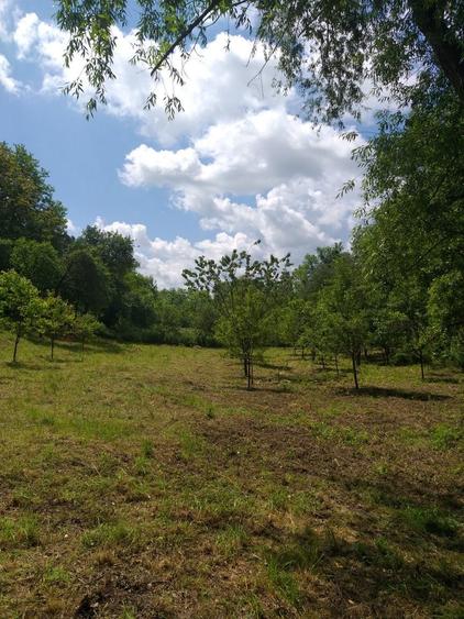 Teren de vanzare - 6