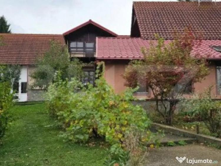 Casa deosebita, 3000 mp teren, 6 camere zona linistita - Bar - 5