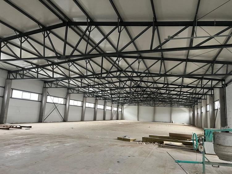 Spatiu depozitare si productie Chitila - 6