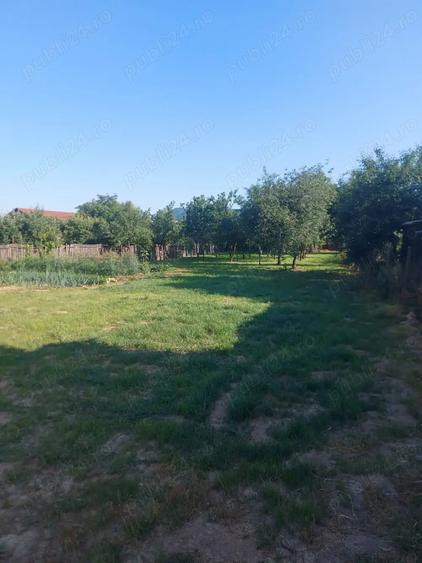 Vand casa in Tau?ii-Magherau? - 3