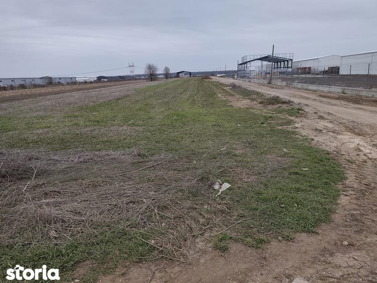 FARA COMISIOANE LOTURI TEREN CONSTRUCTII HALE in ZONA DE HALE merita v - 9
