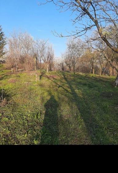 Intravilan 2200m - 5