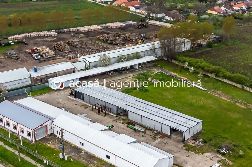 Hale depozitare/producție 2.000 mp si 10.000 mp teren în Pecica - 2