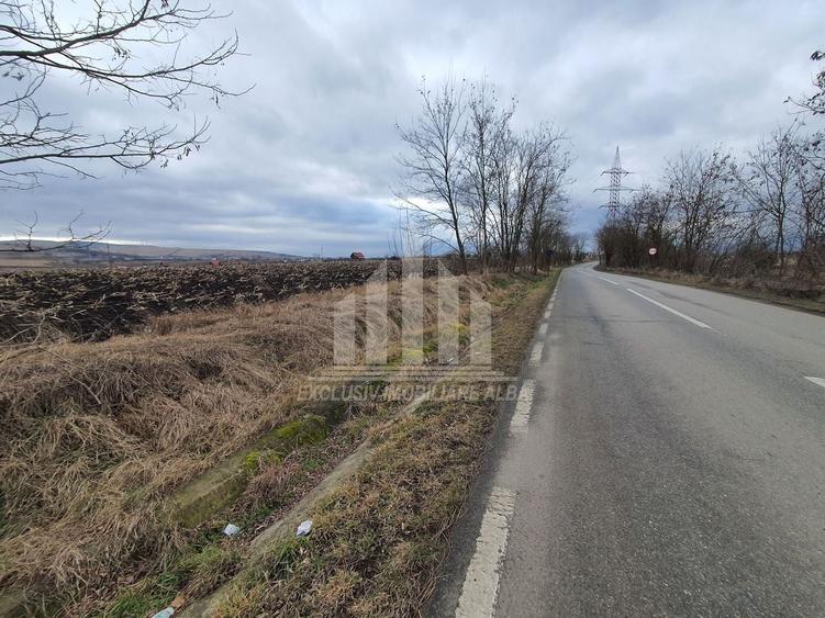 Teren extravilan | De vanzare | 1300 mp | 25 ml deschidere | Ciugud - 1