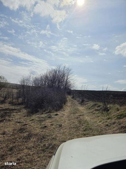 Teren de vanzare Pata Cluj - 3