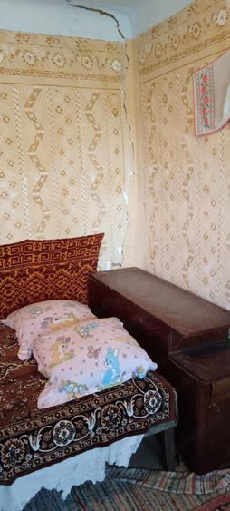 Casa la ?ara jud. Giurgiu, 4 camere, curte 4000 mp - 8