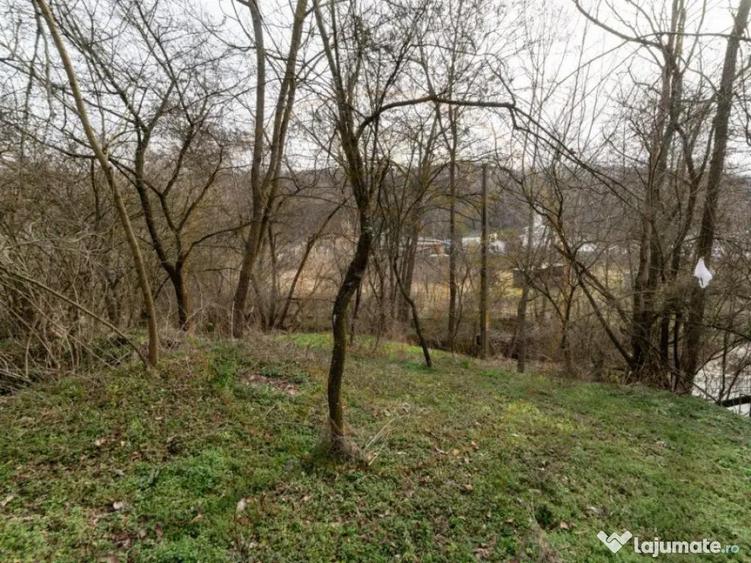 Teren de vanzare 1221 mp in Budeasa Mica, zona lini? - 5